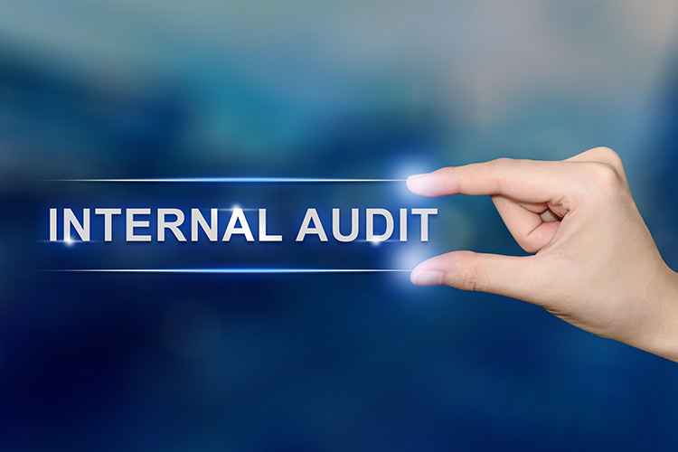 ACS internal audits
